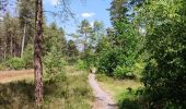 Tocht Stappen Hechtel-Eksel - Promenade vers la piste dans les arbres  - Photo 1