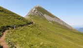 Randonnée Marche Saint-Jacques-des-Blats - Puy Griou depuis le Col de Font de Cère - Photo 3