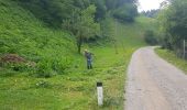 Tour Wandern Loitsch - Rovte, Rovte, Slovenija - Photo 12