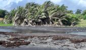 Percorso Marcia Unknown - Plage de Grande Anse Le Lorrain - Photo 10