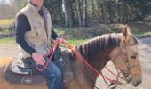 Trail Horseback riding Raon-l'Étape - Yogo Claude tivio kaline - Photo 9