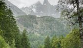 Trail Walking Chamonix-Mont-Blanc - Chamonix : Les Bois - le chapeau  - Photo 9