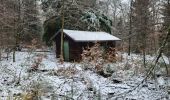 Trail Walking Saint-Hubert - St Hubert monument du roi Albert 281123 - Photo 5