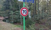 Randonnée Marche Orbey - Vallée des 5 lacs  - Photo 5