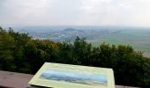 Tour Zu Fuß Gudensberg - Gudensberger Panoramaweg Ostrunde - Photo 9