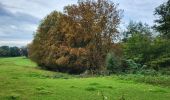 Excursión Senderismo La Bruyère - Rhisnes 121023 - Photo 12