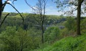 Tour Wandern Herbeumont - Herbeumont - Photo 3