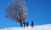 Randonnée Marche Ganac - cabane des Bladas - Photo 3