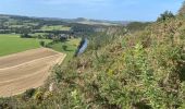 Tocht Stappen Le Vey - Clécy - Photo 9