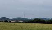 Trail Walking Montigny-le-Tilleul - Landelies   - Photo 2