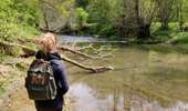 Trail Walking Doische - Promenade de la Bonne-Fontaine   - Photo 12