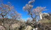 Excursión Senderismo Comps-sur-Artuby - Comps - Bargème - Jabron - Photo 18