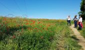 Trail Walking Champagne-sur-Oise - Champagne Tour du Laye - Photo 1