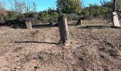 Percorso Marcia Les Arcs-sur-Argens - sommet des Terriers, les Arcs sur Argens, 15-11-23 - Photo 5