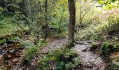 Tour Wandern Weismes - Signal de Botrange, Ovifat & Château de Reinhardstein - Photo 11