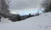 Randonnée Raquettes à neige Divonne-les-Bains - La Vatay Suisse - Photo 9