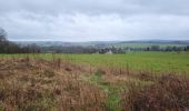 Tour Wandern Saint-Hubert - Arville 230323 - Photo 10