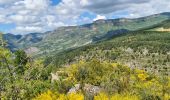 Tour Wandern La Motte-Chalancon - La Motte Chalancon - Plateau de la Chau - Photo 10