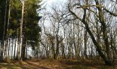 Randonnée Marche Vielsalm - Le bec du corbeau - Photo 1