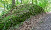 Tour Zu Fuß Höxter - Erlesene Natur - Zu Besuch im Paradies - Photo 8