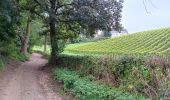 Tour Wandern Riemst - kanne . maastricht . kanne - les 2 rives  - Photo 17