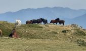 Tour Wandern Corsavy - mine de batere . puig d estella . tout batere - Photo 8