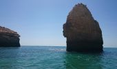 Tour Zu Fuß Lagoa e Carvoeiro - Percurso dos Sete Vales Suspensos - Photo 4