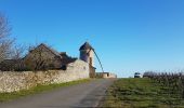 Tour Wandern Chaudefonds-sur-Layon - Chaudefonds  - Photo 5