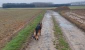 Tocht Stappen Mettet - stave - Photo 5