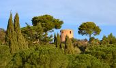 Excursión Senderismo Bormes-les-Mimosas - Bormes les Mimosas - ND de Constance - Cols de Gratteloup et Landon - Photo 2