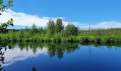 Excursión A pie okres Senica - Náučný chodník Lakšárska Nová Ves – Tomky - Photo 4