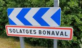 Trail Walking Laguiole - Soulagese Chateau du  ousquet - Photo 4