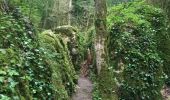Trail Walking Nébias - Sentier nature, labyrinthique vert - Photo 3