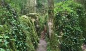 Excursión Senderismo Nébias - Sentier nature, labyrinthique vert - Photo 3