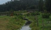 Tocht Stappen Saint-Alban-sur-Limagnole - CC_Velay_AD_04_St-Alban-Limagnole_Peyre-Aubrac_20060824 - Photo 2