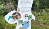 Trail Walking Aulon - J10-Aulon fait - Photo 11