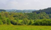 Tocht Stappen Gedinne - Balade à Gedinne - Photo 9