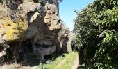 Randonnée Course à pied Castelnau-Pégayrols - moulibez castelneau peg castelmus moulibez - Photo 5