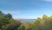 Randonnée Marche Leucate - leucate - cap des frères (sentier des bergers) -la franqui (sentier des guetteurs) - leucate (se tier des vignerons) - Photo 8