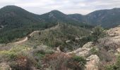 Tocht Stappen Saint-Raphaël - massif de l'Esterel : autour des grues  - Photo 15