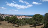 Excursión Senderismo Port-Vendres - port vendres - cosprons - Photo 4