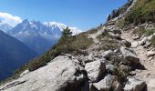 Excursión Senderismo Chamonix-Mont-Blanc - Montroc,Les 4 vents par les echelles d'Argentiere,Les Tines - Photo 7