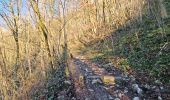 Excursión Senderismo Comblain-au-Pont - A la découverte de Comblain-au-Pont 🥾 - Photo 1
