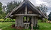 Tour Wandern Markirch - 2020-06-20 Marche Tete du Violu Col de Ste Marie - Photo 1