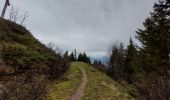 Percorso Marcia Theys - PINCERIE EN BOUCLE DEPUIS PIPAY - Photo 9