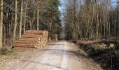 Tocht Te voet Oberursel - Urselbach Mühlenwanderweg - Photo 9