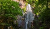 Trail Walking Oberhaslach - Le Nideck, entre ruines et cascades - Photo 5