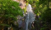 Excursión Senderismo Oberhaslach - Le Nideck, entre ruines et cascades - Photo 5