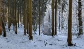 Randonnée Marche Tenneville - Laneuville aux bois 180124 - Photo 20