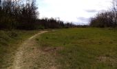 Tour Wandern Châteauneuf-de-Galaure - Le tour de Châteauneuf de Galaure - Photo 2